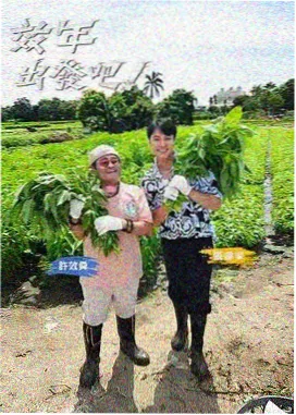 热门综艺免费看